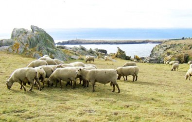 île en France